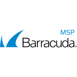 Barracuda MSP Partner Logo Email Gateway IT Solution